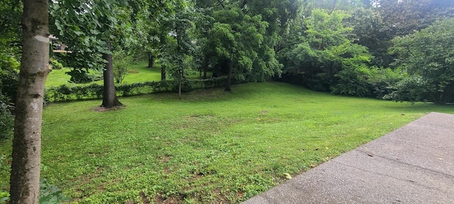2616 Mountain Laurel Dr, Antioch, TN 37013 - photo 46