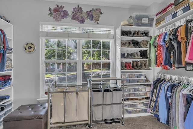 spacious closet with carpet