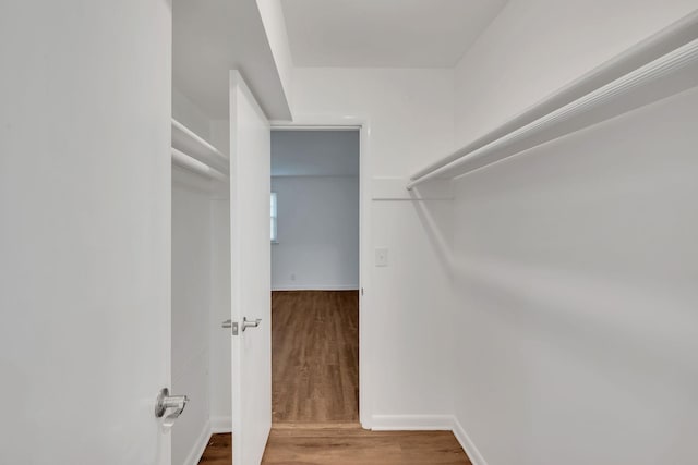 spacious closet featuring wood finished floors