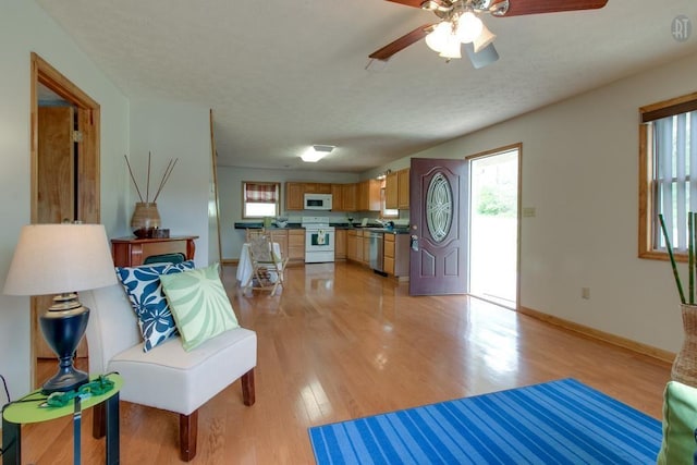 living area featuring a wealth of natural light, a textured ceiling, light wood-type flooring, and baseboards