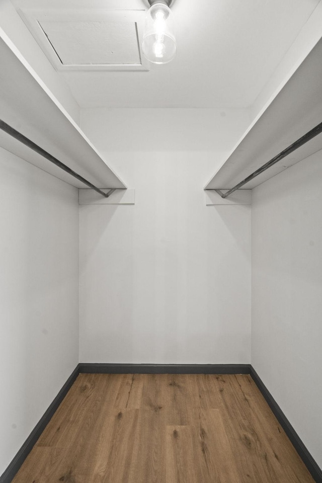 walk in closet featuring wood finished floors