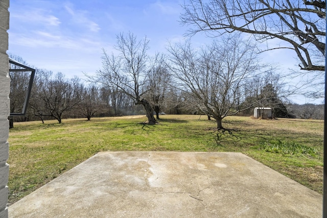 view of yard featuring a patio area