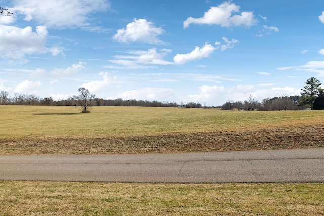 view of road with a rural view