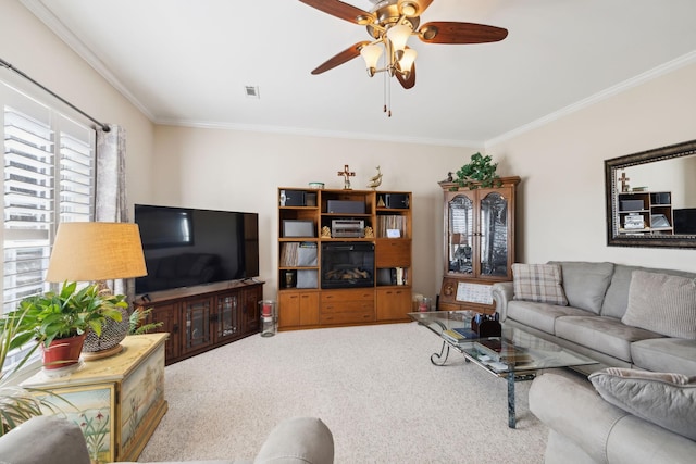 living area featuring visible vents, carpet, ceiling fan, and crown molding