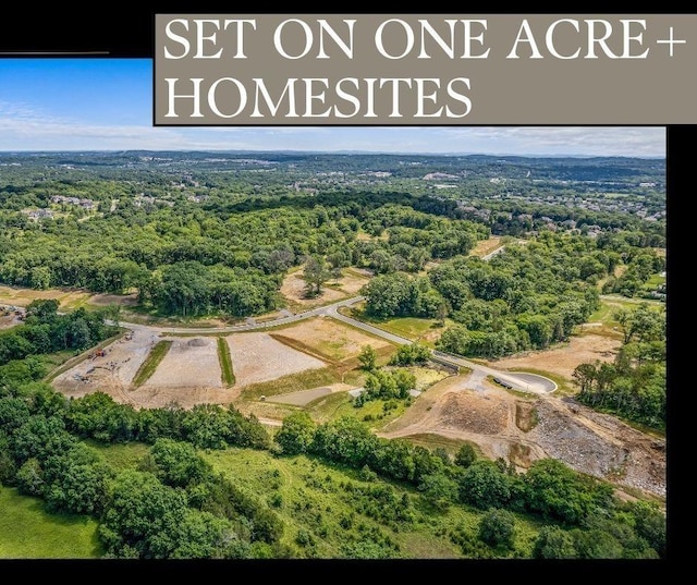 birds eye view of property featuring a forest view