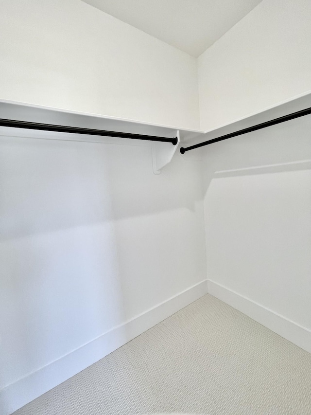 spacious closet with carpet flooring