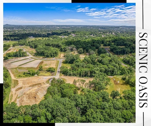 birds eye view of property featuring a forest view