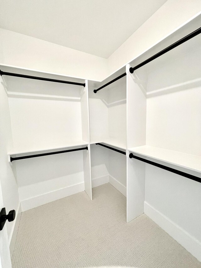 spacious closet featuring carpet flooring