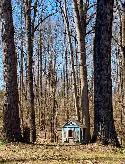 exterior space featuring a storage shed, an outdoor structure, and a view of trees