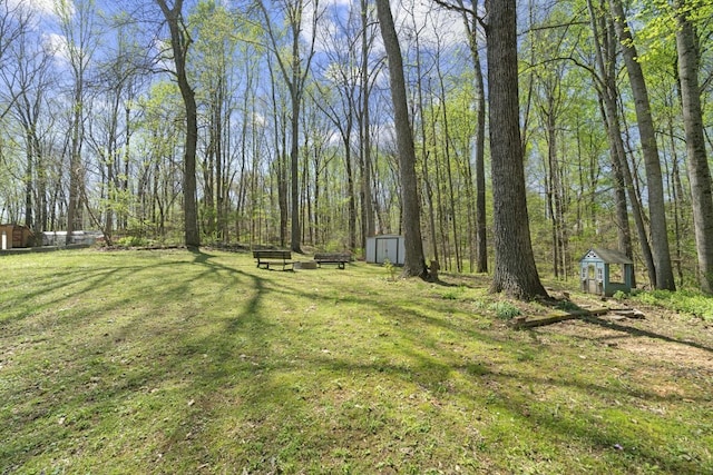 7704 Chester Rd, Fairview, TN 37062 - view of grassy yard featuring a storage unit