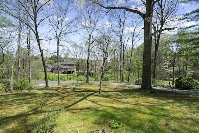 7704 Chester Rd, Fairview, TN 37062 - view of green lawn