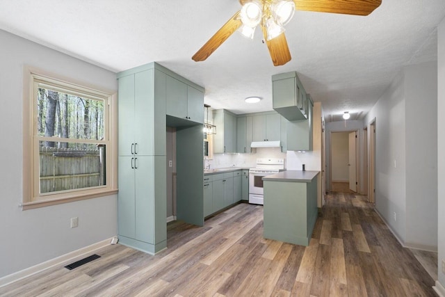 7704 Chester Rd, Fairview, TN 37062 - kitchen with electric stove, under cabinet range hood, wood finished floors, and ceiling fan