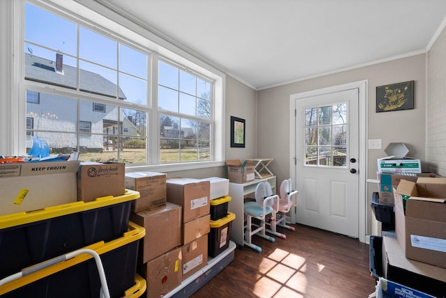 office featuring dark wood-type flooring, a healthy amount of sunlight, and ornamental molding