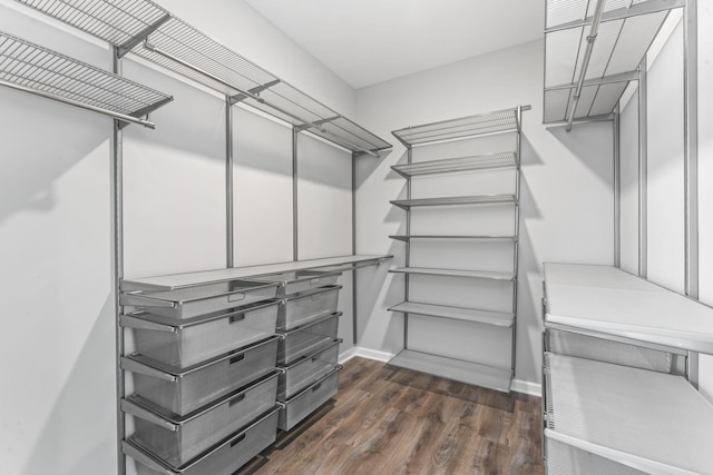 spacious closet with dark wood finished floors