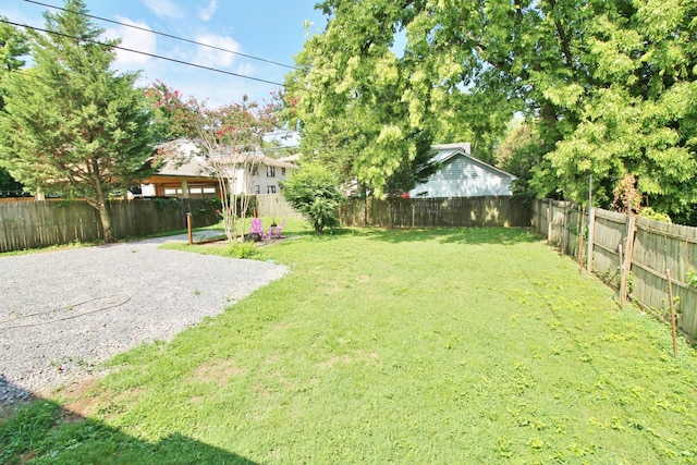 view of yard with a fenced backyard