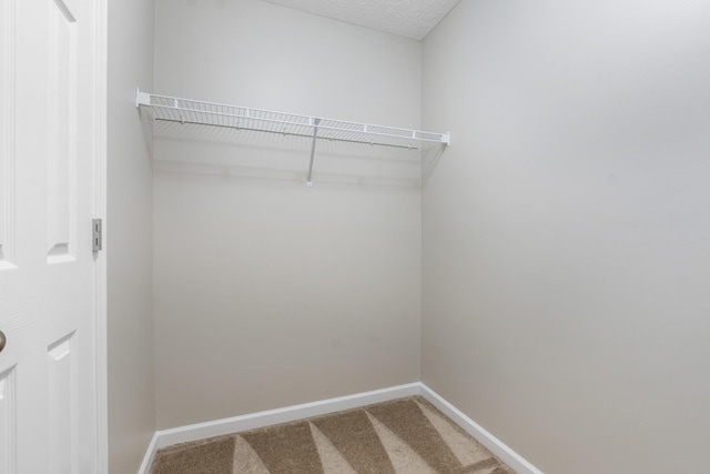 spacious closet featuring carpet floors