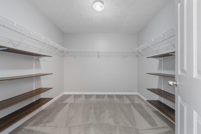 spacious closet featuring carpet flooring