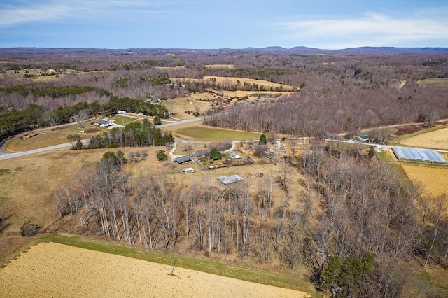 birds eye view of property featuring a mountain view