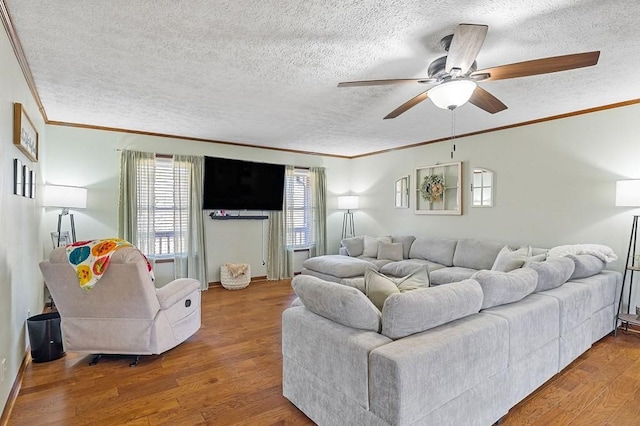 living area featuring crown molding, wood finished floors, and a textured ceiling