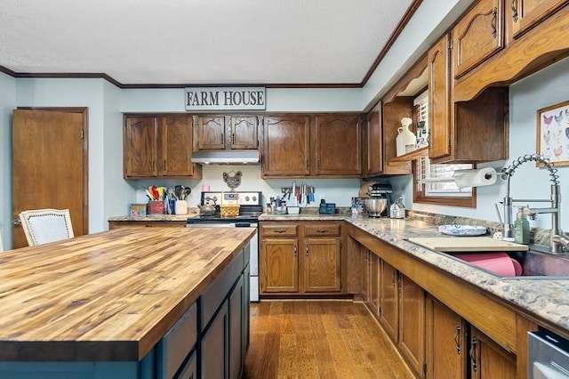 kitchen with ornamental molding, under cabinet range hood, a sink, appliances with stainless steel finishes, and butcher block counters