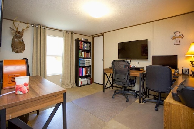 carpeted office with a textured ceiling