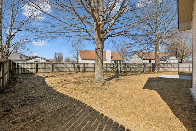 view of yard with a patio area and a fenced backyard