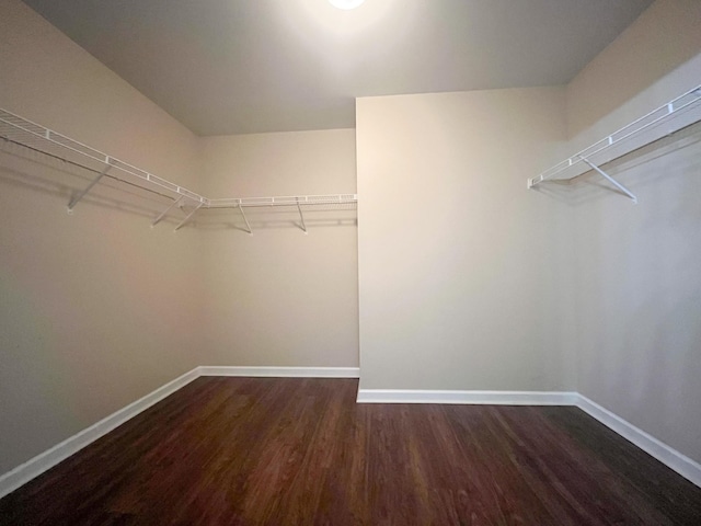 walk in closet with wood finished floors