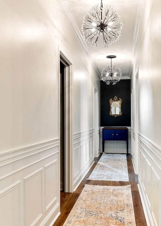 hallway with a decorative wall, a notable chandelier, dark wood-style flooring, and ornamental molding