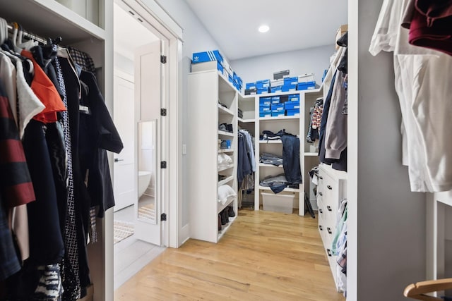 spacious closet featuring wood finished floors