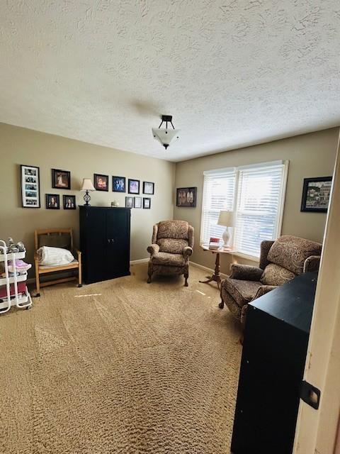 living area with baseboards, carpet floors, and a textured ceiling