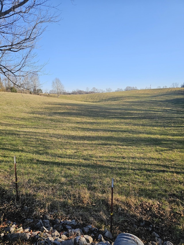 Listing photo 3 for 0 Hogan Rd, Burns TN 37029