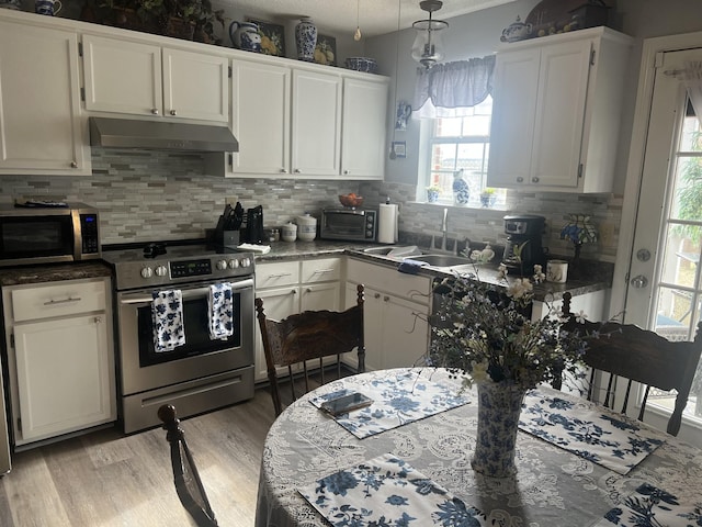 kitchen with under cabinet range hood, a sink, tasteful backsplash, stainless steel appliances, and light wood finished floors