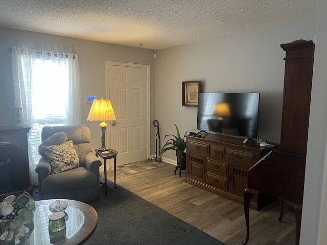 living room featuring wood finished floors, baseboards, and a textured ceiling