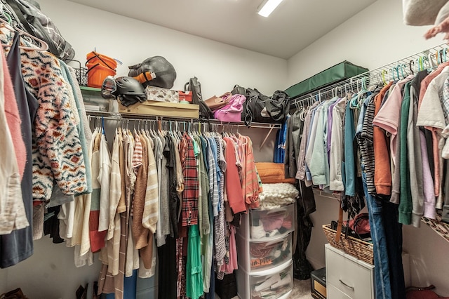 view of spacious closet