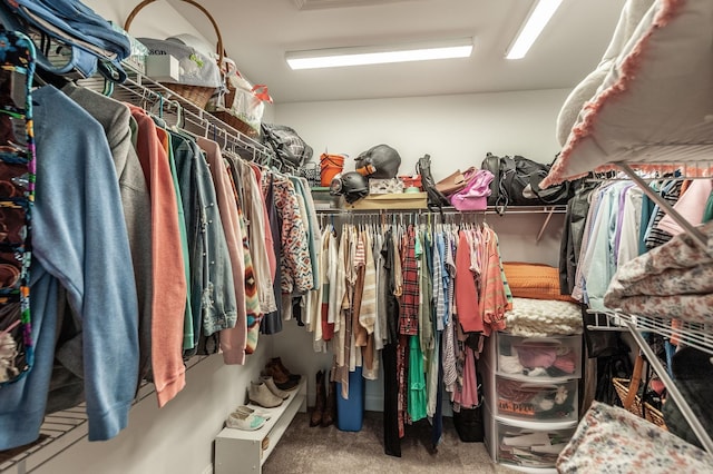 walk in closet featuring carpet flooring