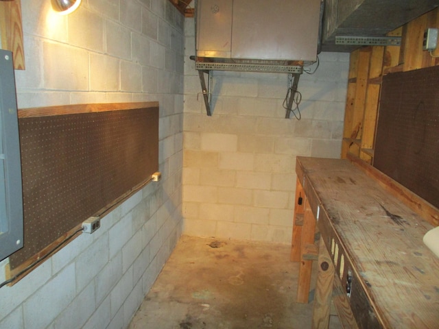 unfinished basement featuring concrete block wall