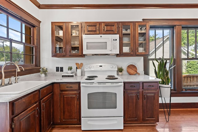 kitchen featuring white appliances, glass insert cabinets, wood finished floors, and a sink