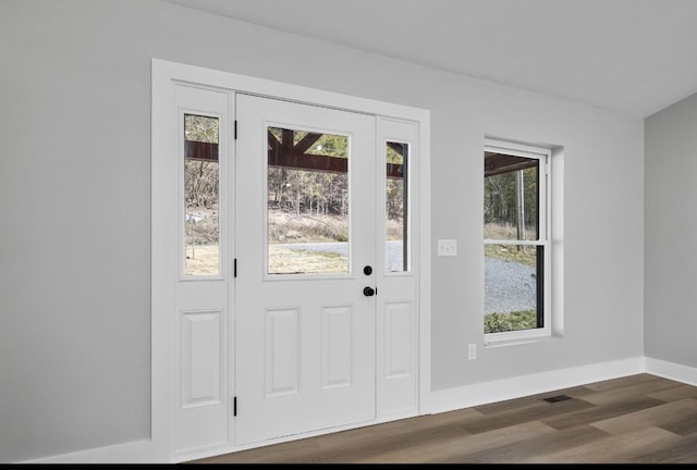 entrance foyer with baseboards, plenty of natural light, and dark wood-type flooring