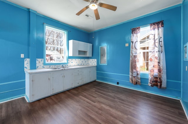 kitchen featuring a sink, plenty of natural light, dark wood-style flooring, and light countertops