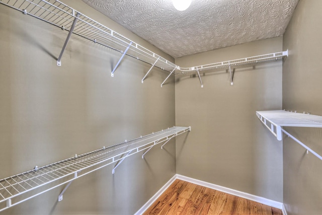 spacious closet with wood finished floors