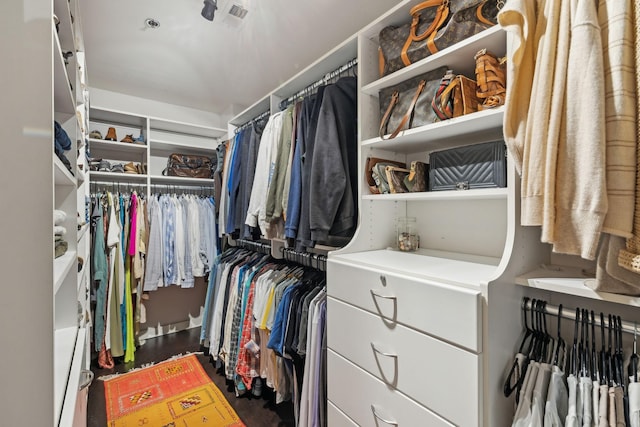 spacious closet with visible vents