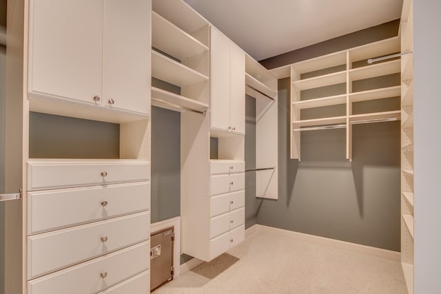 view of spacious closet