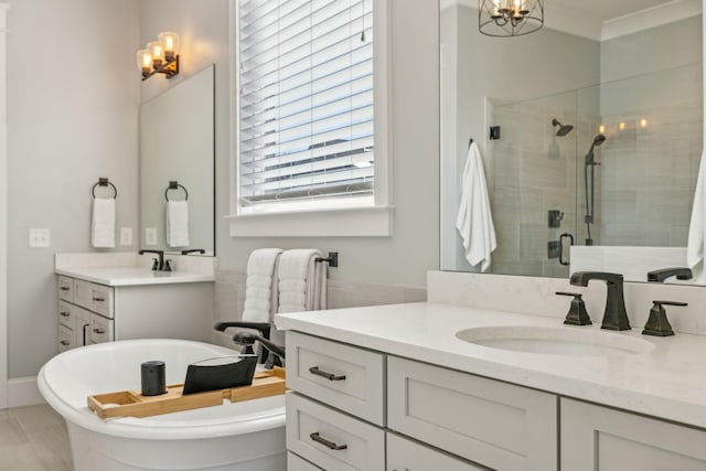 bathroom featuring a freestanding tub, vanity, and a shower stall