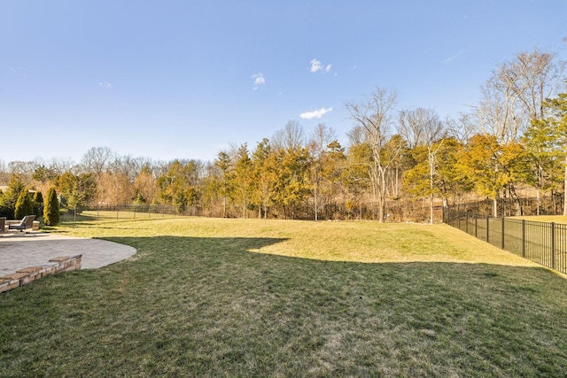 view of yard with a patio area and a fenced backyard