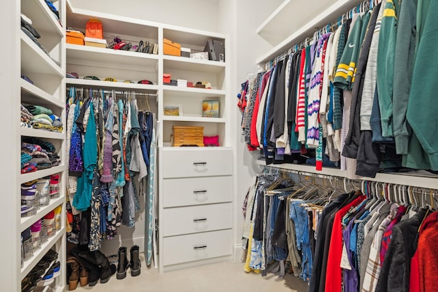 view of spacious closet