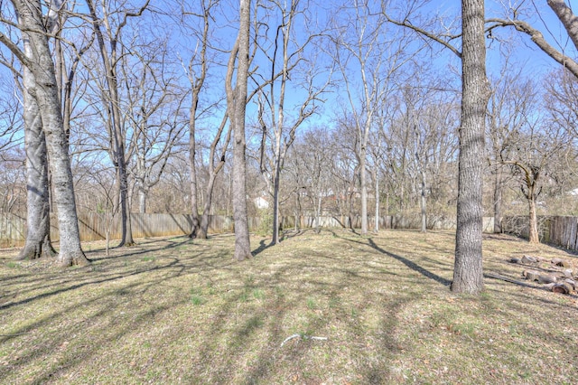 view of yard featuring fence