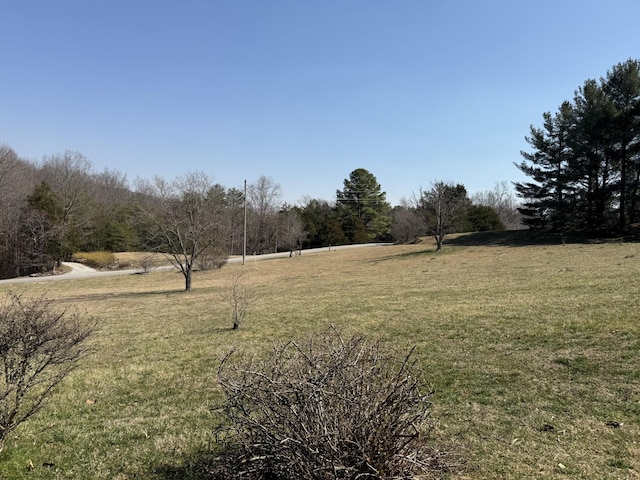 view of yard featuring a rural view