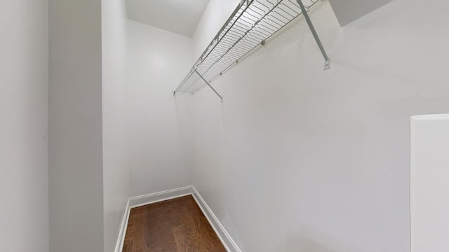 walk in closet featuring wood finished floors