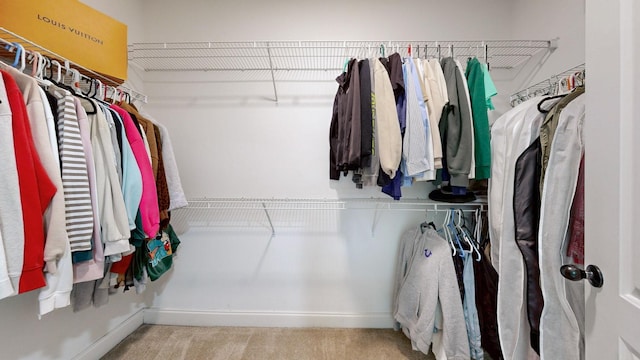 walk in closet with carpet floors