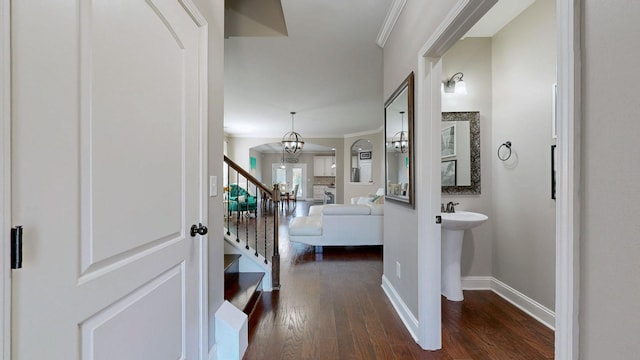 hall with baseboards, dark wood-type flooring, ornamental molding, and stairs